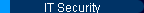 IT Security