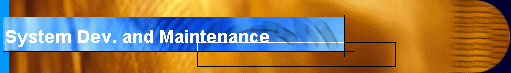 System Dev. and Maintenance