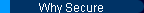 Why Secure